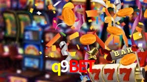 Servidor Brasil q9bet